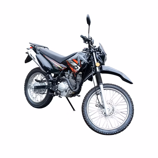 Motocicletta motorizzata costruita